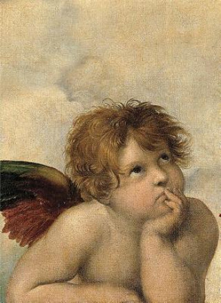 Kniha Cherubs Notebook Raphael