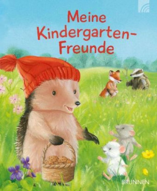 Kniha Meine Kindergarten-Freunde Tina Macnaughton