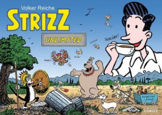Carte STRIZZ unlimited Volker Reiche