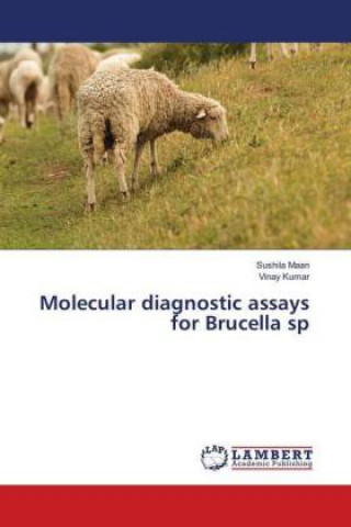 Kniha Molecular diagnostic assays for Brucella sp Sushila Maan
