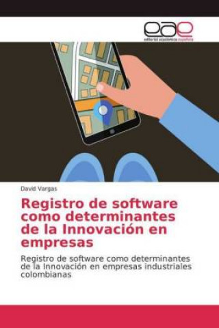 Kniha Registro de software como determinantes de la Innovacion en empresas David Vargas