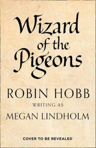 Kniha Wizard of the Pigeons Megan Lindholm