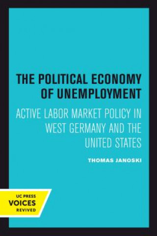 Carte Political Economy of Unemployment Thomas Janoski