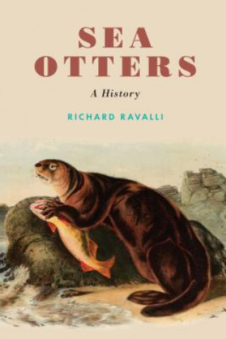 Buch Sea Otters Richard Ravalli
