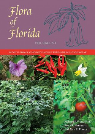 Kniha Flora of Florida, Volume VI Richard P. Wunderlin