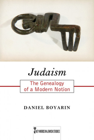 Buch Judaism Daniel Boyarin