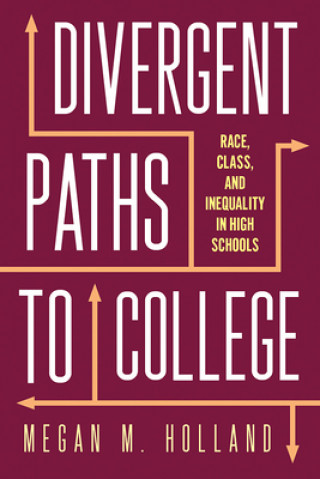 Kniha Divergent Paths to College Megan M. Holland