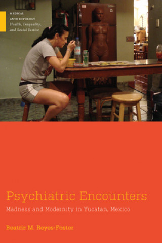 Buch Psychiatric Encounters Beatriz M. Reyes-Foster