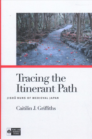 Książka Tracing the Itinerant Path Caitilin J. Griffiths