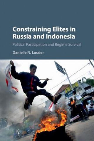 Buch Constraining Elites in Russia and Indonesia Lussier