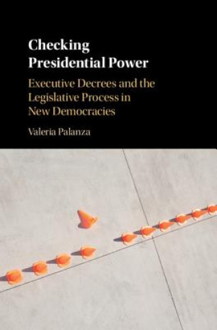 Carte Checking Presidential Power Valeria (Pontificia Universidad Catolica de Chile) Palanza