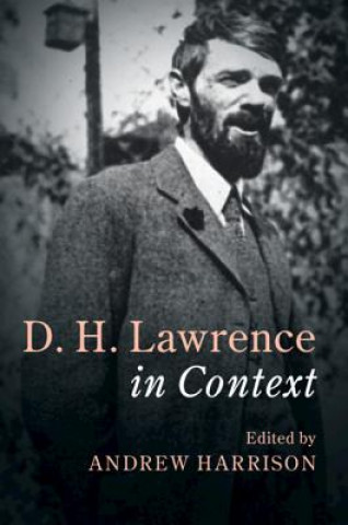 Buch D. H. Lawrence In Context Andrew Harrison