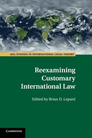 Kniha Reexamining Customary International Law Brian D. Lepard