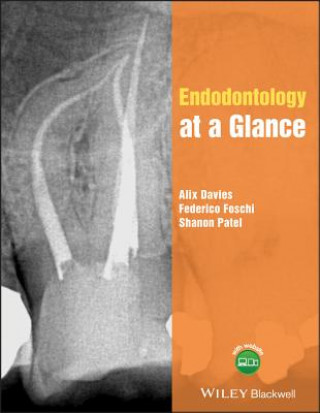 Könyv Endodontology at a Glance Alix Davies