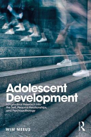 Kniha Adolescent Development Meeus