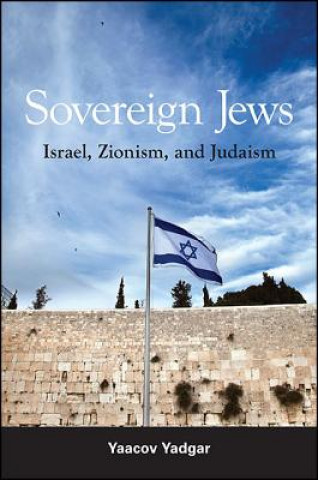 Book Sovereign Jews: Israel, Zionism, and Judaism Yaacov Yadgar