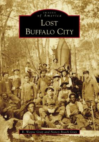 Buch Lost Buffalo City R Wayne Gray