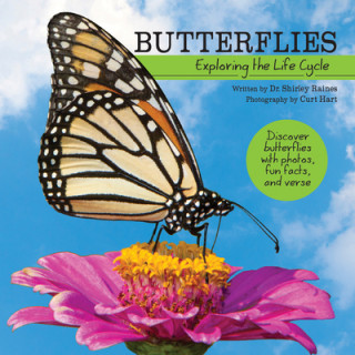 Kniha Butterflies: Exploring the Life Cycle Curt Hart