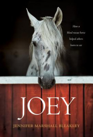 Книга Joey Jennifer Bleakley