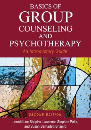 Kniha Basics of Group Counseling and Psychotherapy Jerrold Shapiro