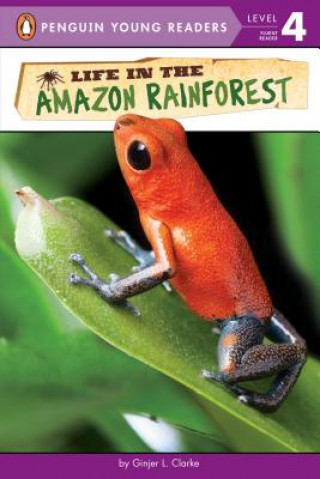 Könyv Life in the Amazon Rainforest Ginjer L Clarke