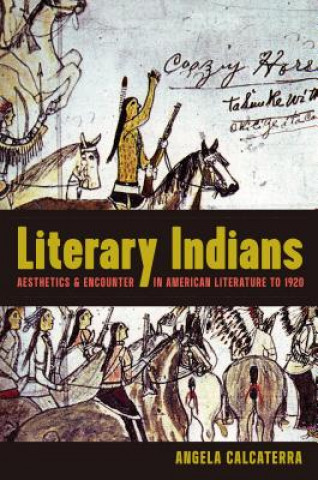 Buch Literary Indians Angela Calcaterra