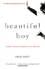 Könyv Beautiful Boy David Sheff