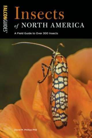 Kniha Insects of North America David M. Phillips