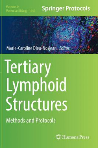 Книга Tertiary Lymphoid Structures Marie-Caroline Dieu-Nosjean
