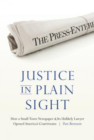 Buch Justice in Plain Sight Dan Bernstein