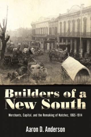 Kniha Builders of a New South Aaron D. Anderson