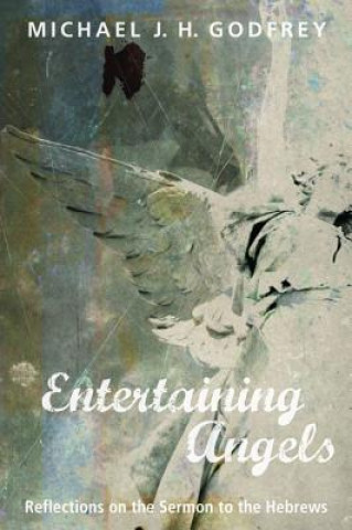 Boek Entertaining Angels MICHAEL J. GODFREY