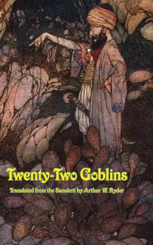 Książka Twenty-Two Goblins RYDER