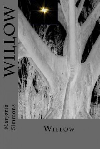 Kniha Willow Marjorie Simmons