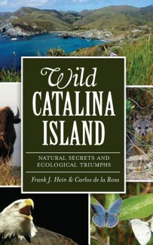 Buch Wild Catalina Island: Natural Secrets and Ecological Triumphs Frank J Hein