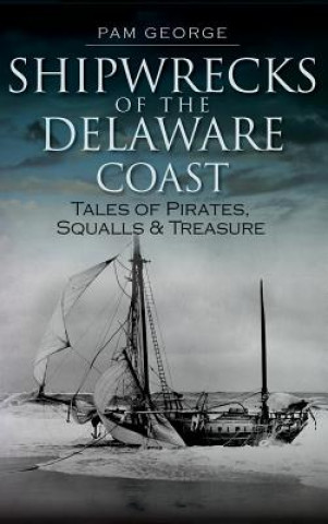 Kniha Shipwrecks of the Delaware Coast: Tales of Pirates, Squalls & Treasure Pam George