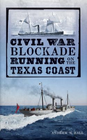 Knjiga Civil War Blockade Running on the Texas Coast Julie Young