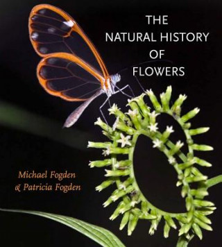 Könyv Natural History of Flowers Michael Fogden