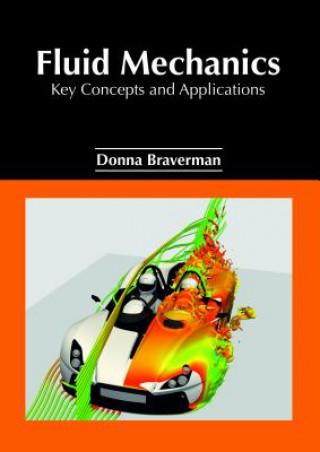 Kniha Fluid Mechanics: Key Concepts and Applications DONNA BRAVERMAN