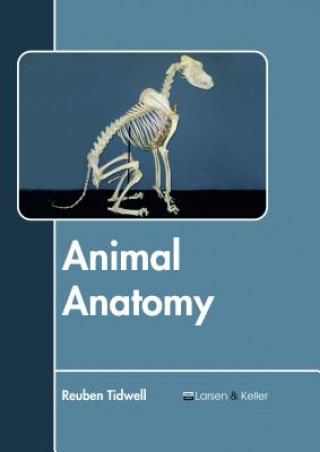 Книга Animal Anatomy REUBEN TIDWELL