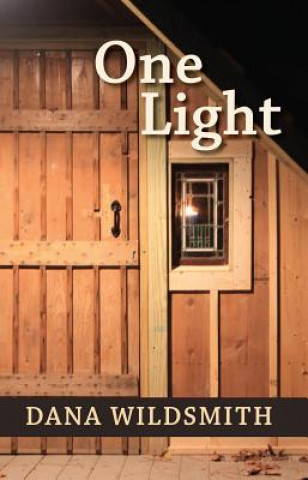 Book One Light Dana Wildsmith