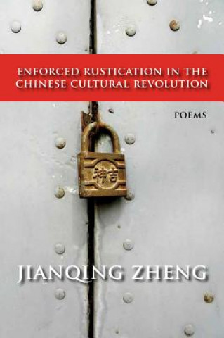 Kniha Enforced Rustication Jianqing Zheng