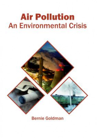 Könyv Air Pollution: An Environmental Crisis BERNIE GOLDMAN