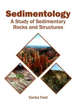Book Sedimentology: A Study of Sedimentary Rocks and Structures CORTEZ FORD