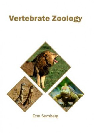 Könyv Vertebrate Zoology EZRA SAMBERG