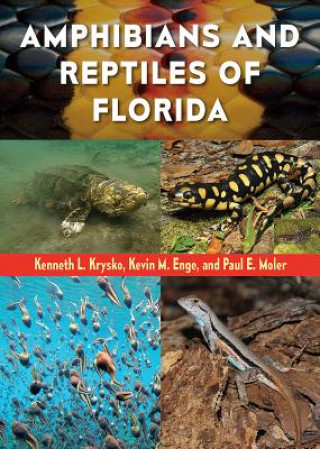 Könyv Amphibians and Reptiles of Florida Kenneth L. Krysko