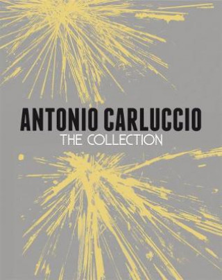 Könyv Antonio Carluccio: The Collection CARLUCCIO  ANTONIO