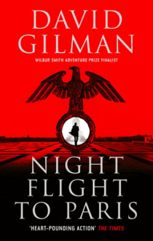 Kniha Night Flight to Paris David Gilman