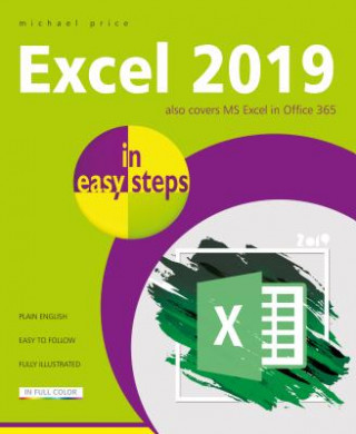 Kniha Excel 2019 in easy steps Michael Price