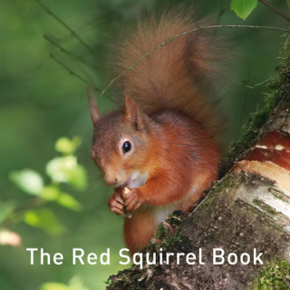 Книга Red Squirrel Book Jane Russ